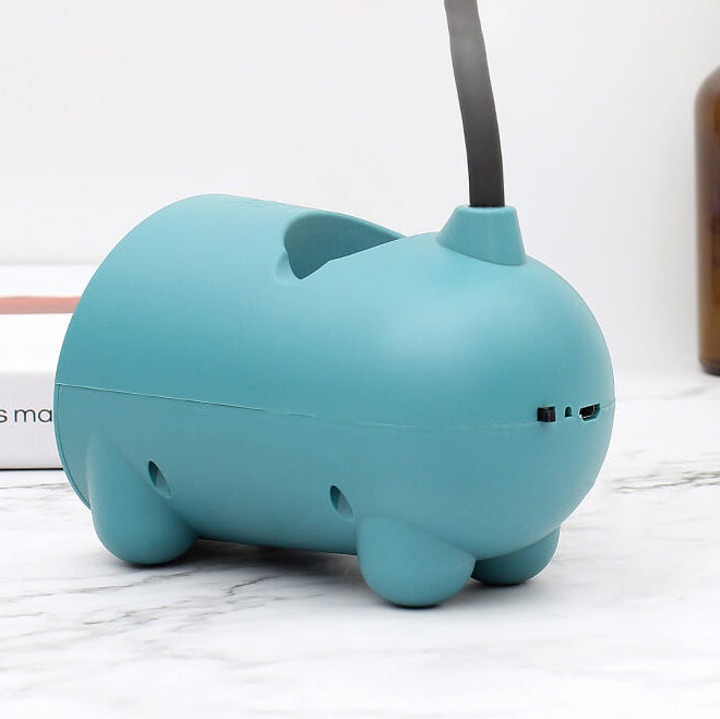 Flexible Silicone LED Desk Lamp | Ridorn