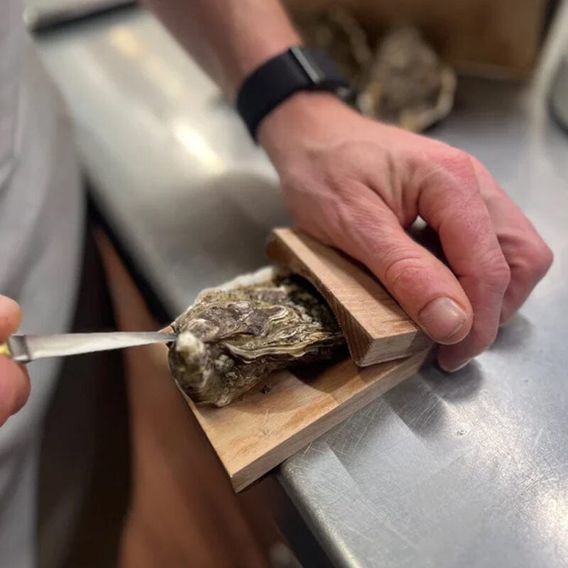 Oyster Shucking Clamp