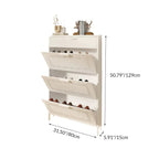 3-Tier Minimalist Steel Shoe Rack for Stylish Entryway | Ridorn-Shoe Storage-Ridorn