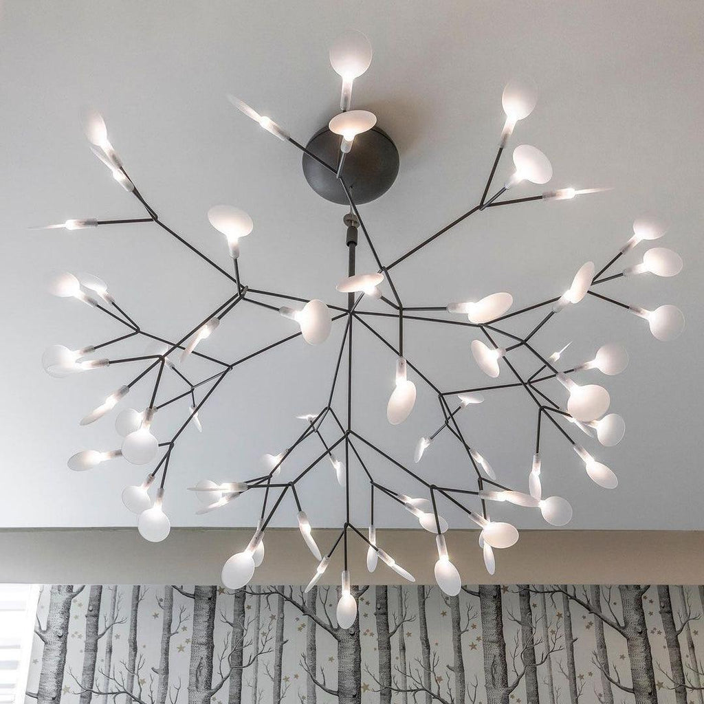 Branch-Inspired Chandelier | Multi-Head Ceiling Light | Ridorn