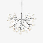 Branch-Inspired Chandelier | Multi-Head Ceiling Light | Ridorn