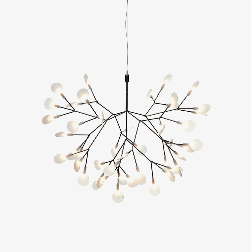 Branch-Inspired Chandelier | Multi-Head Ceiling Light | Ridorn