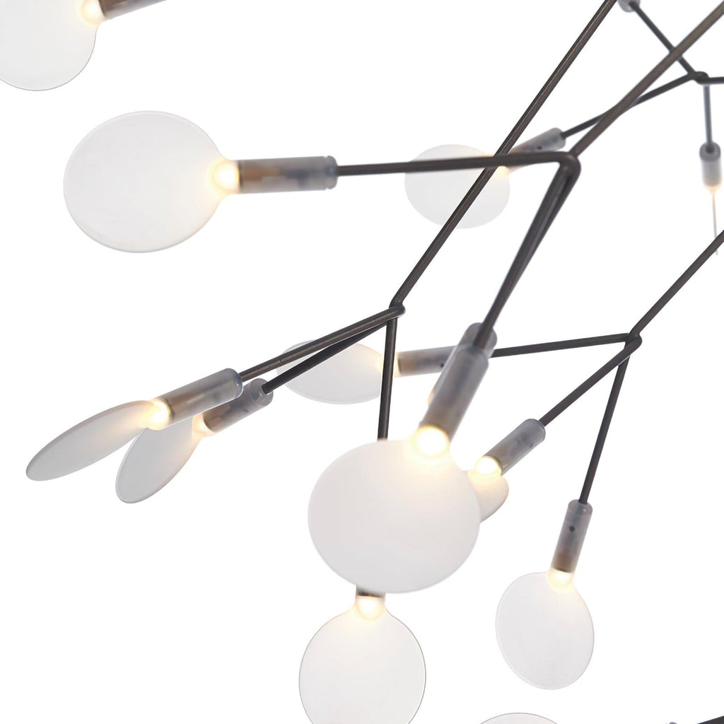 Branch-Inspired Chandelier | Multi-Head Ceiling Light | Ridorn