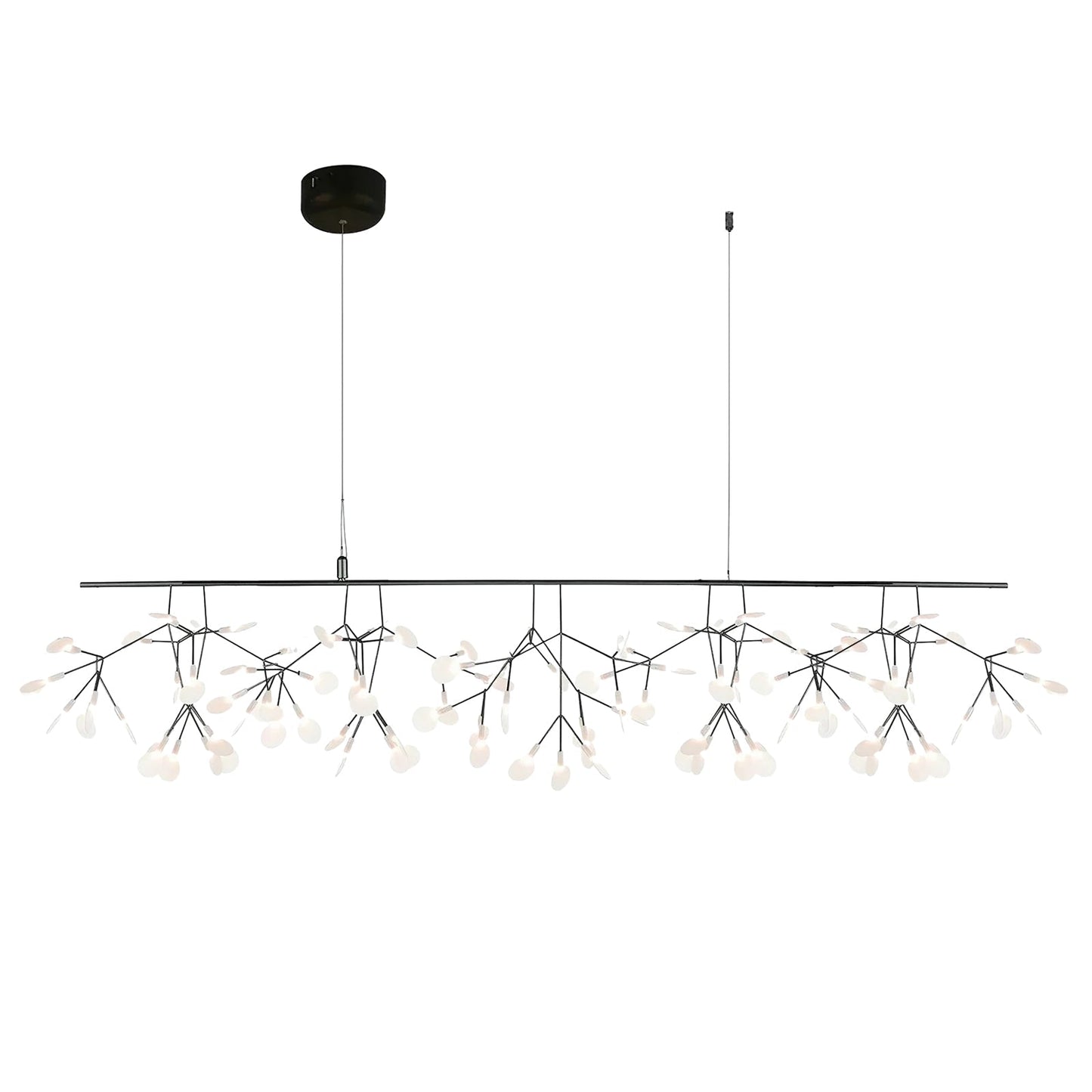 Branch-Inspired Chandelier | Multi-Head Ceiling Light | Ridorn