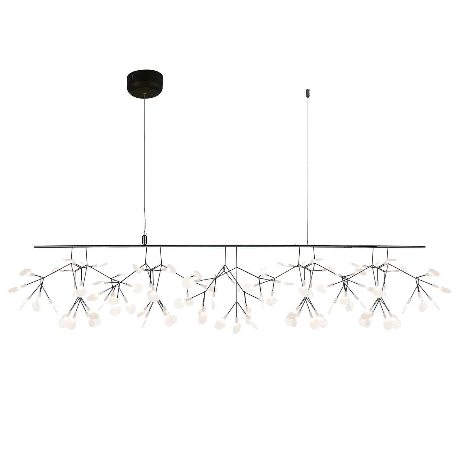 Branch-Inspired Chandelier | Multi-Head Ceiling Light | Ridorn