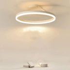 Offset Circular LED Ceiling Light with Modern Design | Ridorn