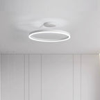 Offset Circular LED Ceiling Light with Modern Design | Ridorn
