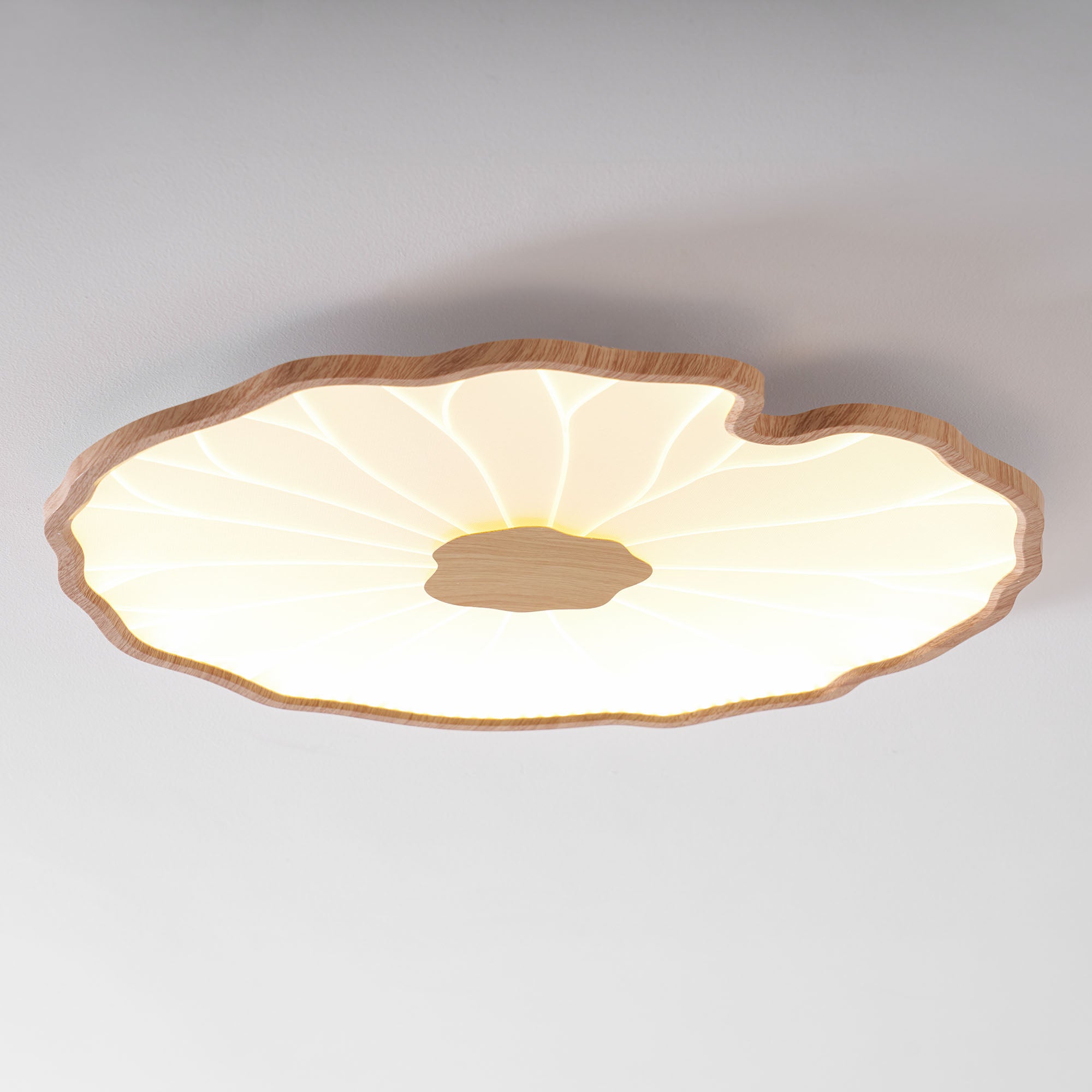 Lotus Leaf LED Ceiling Light for Indoor Spaces | Ridorn