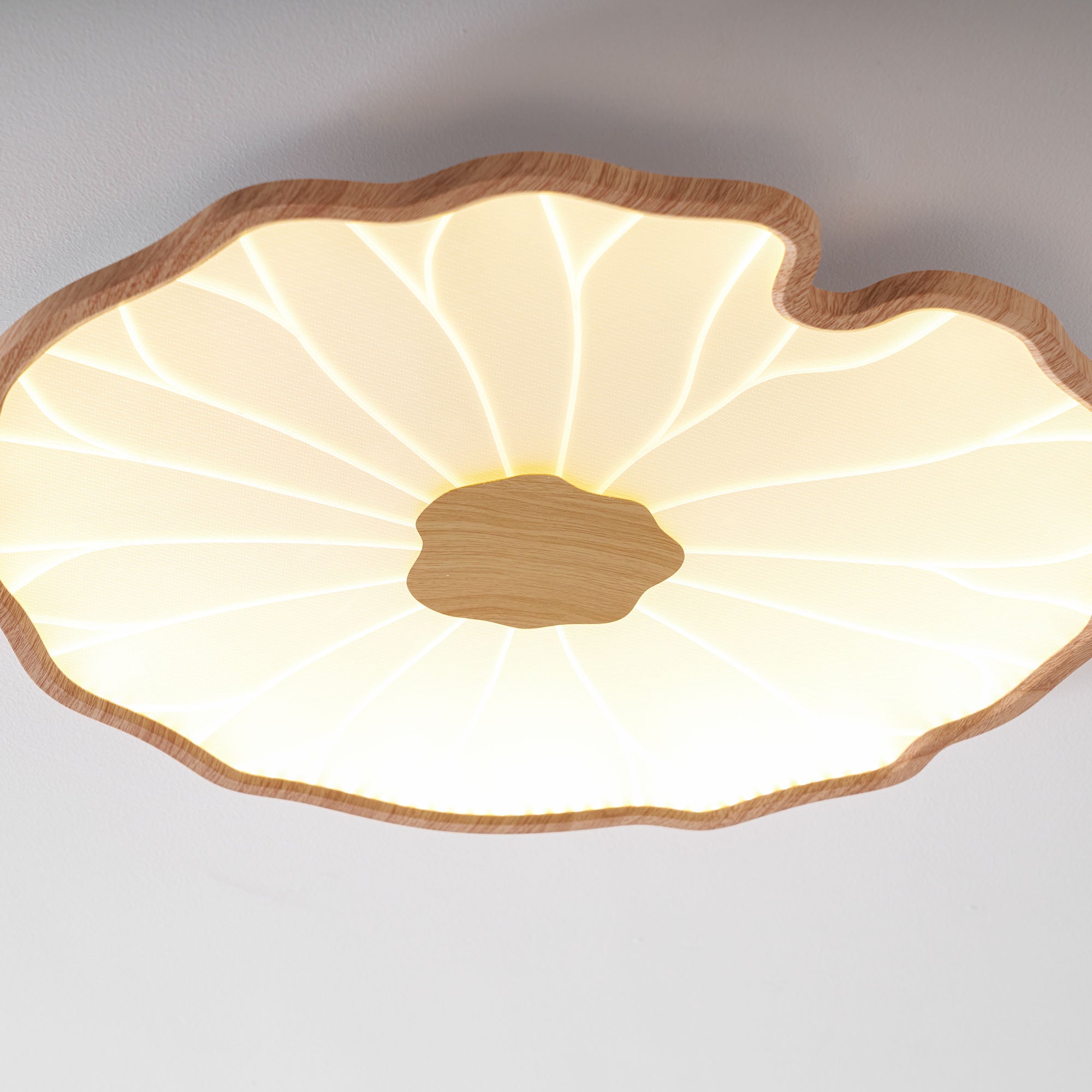 Lotus Leaf LED Ceiling Light for Indoor Spaces | Ridorn
