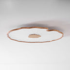 Lotus Leaf LED Ceiling Light for Indoor Spaces | Ridorn