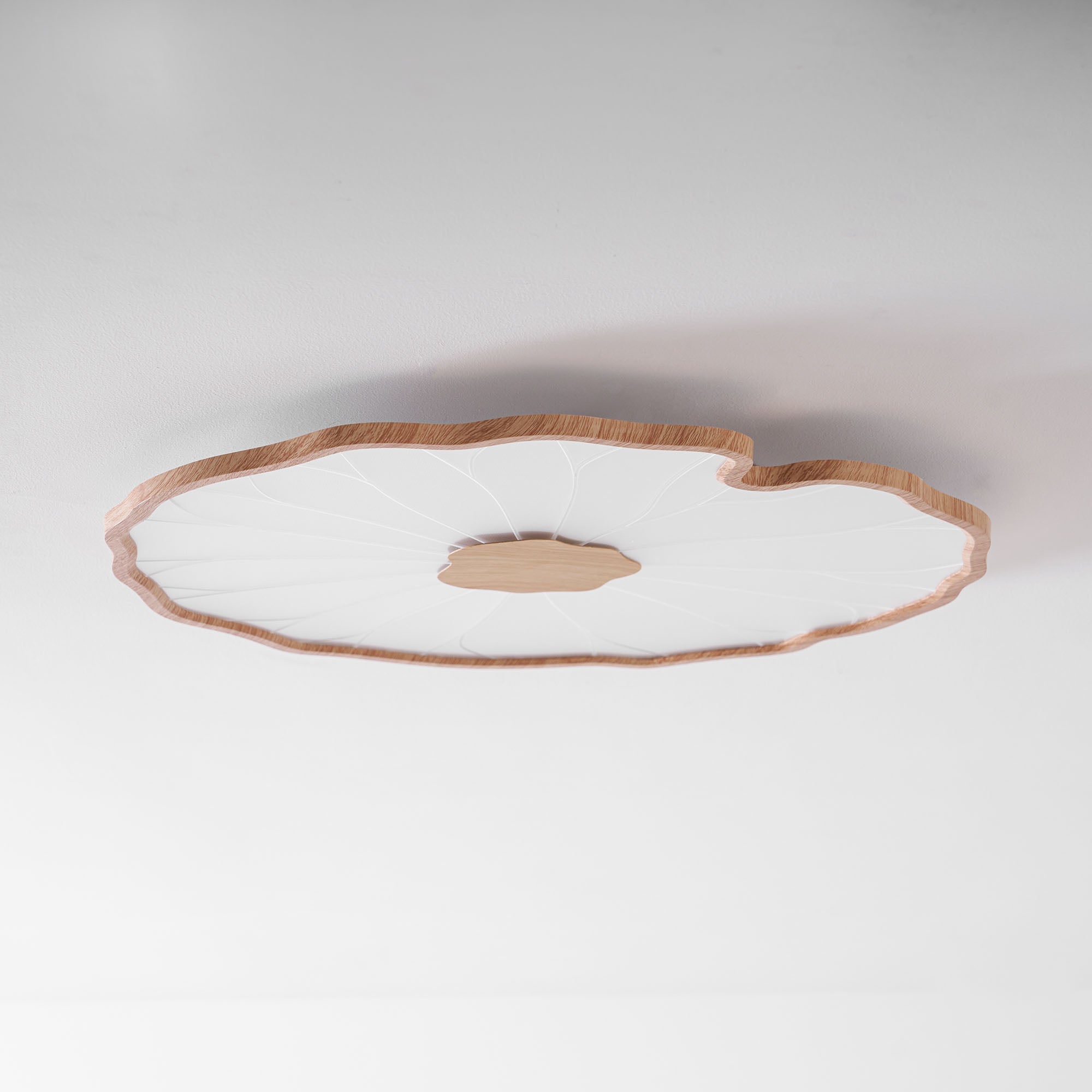 Lotus Leaf LED Ceiling Light for Indoor Spaces | Ridorn