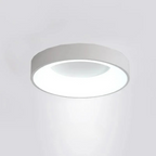 Modern Round Ceiling Light | Minimalist Flush Mount Design | Ridorn