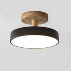 Compact Round Disc LED Ceiling Light for Low Spaces | Ridorn