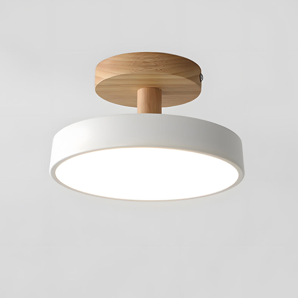 Compact Round Disc LED Ceiling Light for Low Spaces | Ridorn
