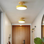 Compact Round Disc LED Ceiling Light for Low Spaces | Ridorn