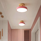 Compact Round Disc LED Ceiling Light for Low Spaces | Ridorn