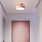Compact Round Disc LED Ceiling Light for Low Spaces | Ridorn