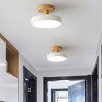 Compact Round Disc LED Ceiling Light for Low Spaces | Ridorn