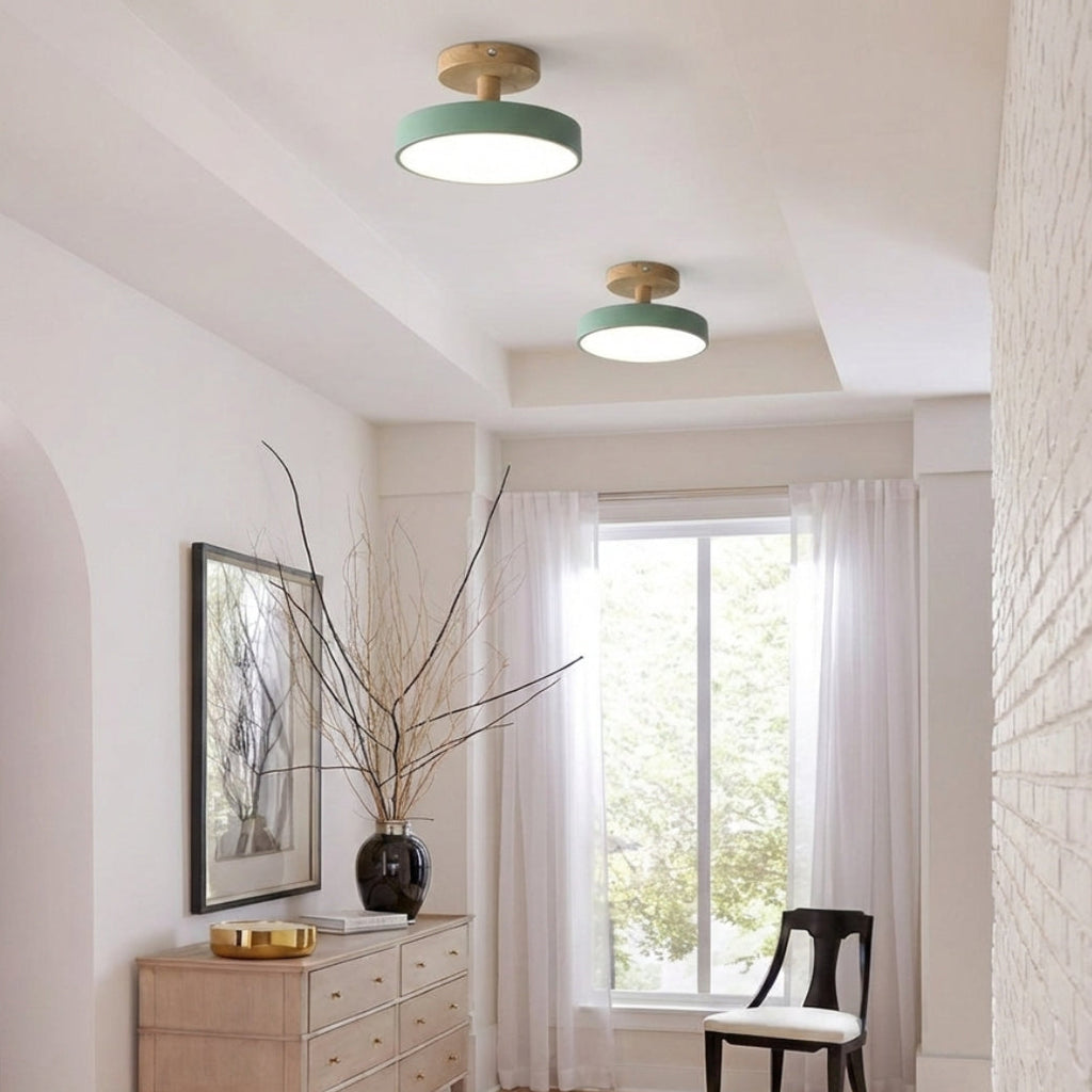 Compact Round Disc LED Ceiling Light for Low Spaces | Ridorn