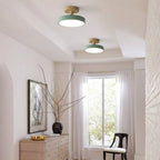 Compact Round Disc LED Ceiling Light for Low Spaces | Ridorn