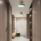 Compact Round Disc LED Ceiling Light for Low Spaces | Ridorn