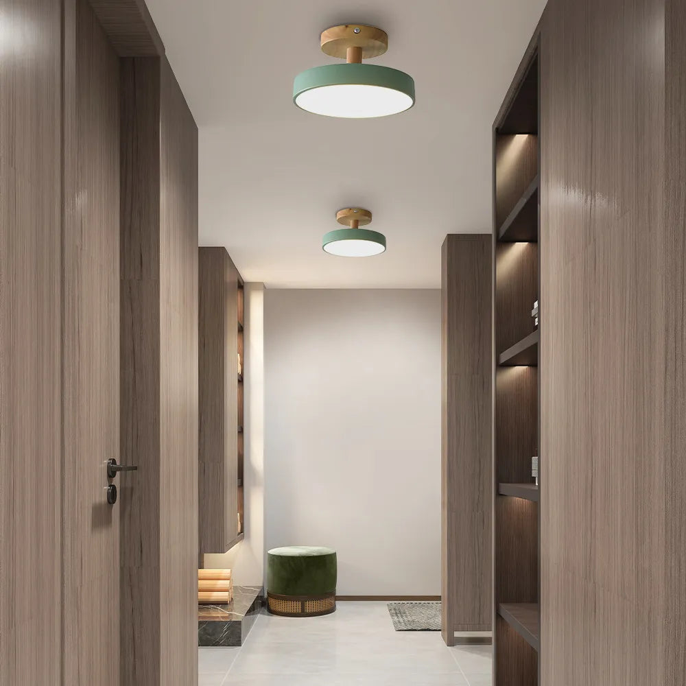 Compact Round Disc LED Ceiling Light for Low Spaces | Ridorn
