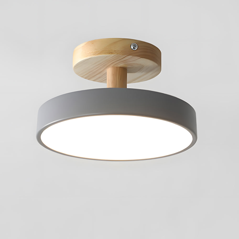 Compact Round Disc LED Ceiling Light for Low Spaces | Ridorn