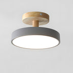 Compact Round Disc LED Ceiling Light for Low Spaces | Ridorn