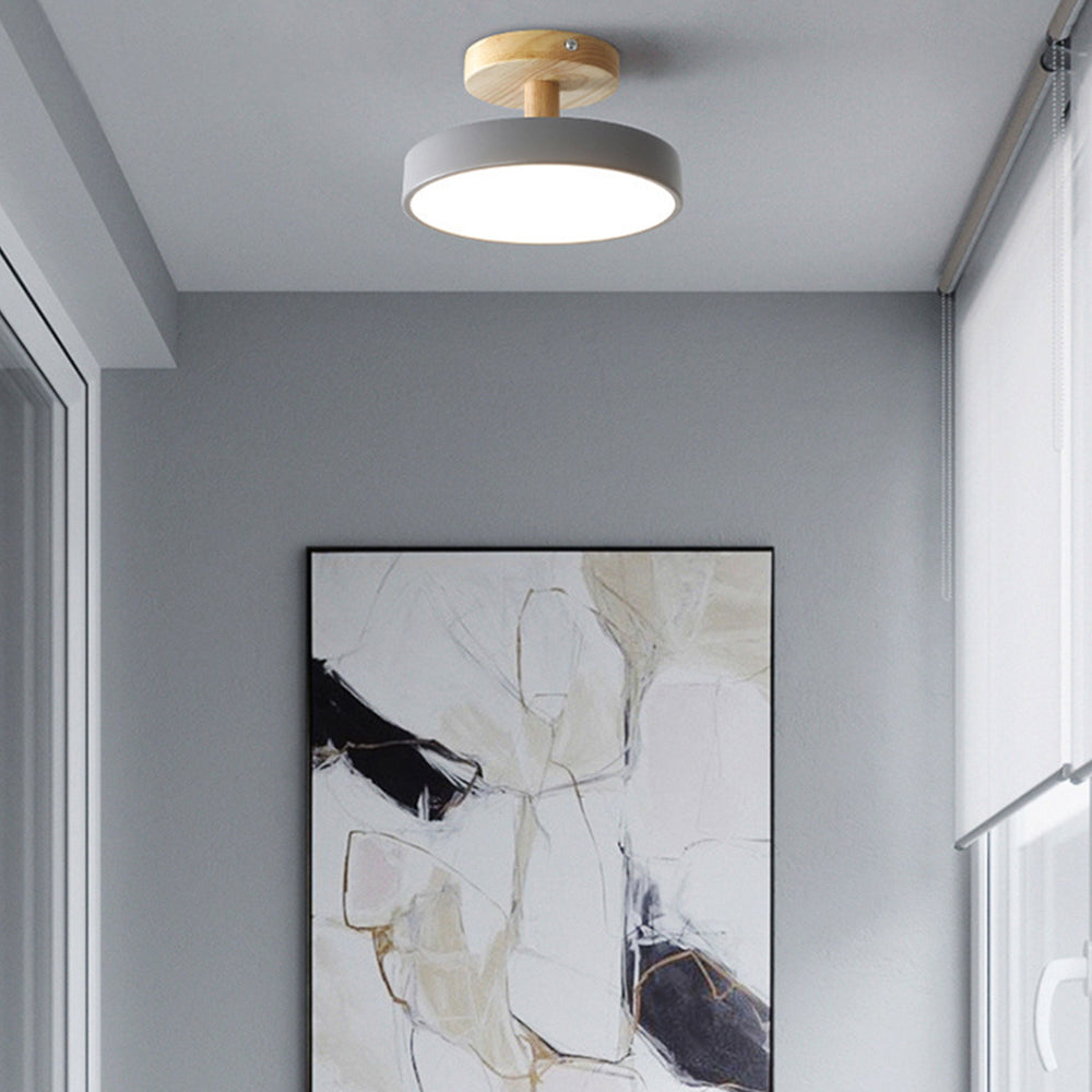 Compact Round Disc LED Ceiling Light for Low Spaces | Ridorn