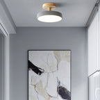 Compact Round Disc LED Ceiling Light for Low Spaces | Ridorn