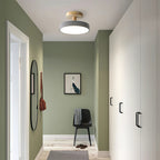 Compact Round Disc LED Ceiling Light for Low Spaces | Ridorn