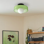 Round Glass Flush Ceiling Light Fixture for Indoor Spaces | Ridorn