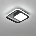 Sleek Minimalist LED Ceiling Light with Flush Mount Design | Ridorn