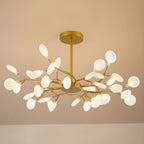 Chandelier Light |  30 to 63 Heads | Ridorn