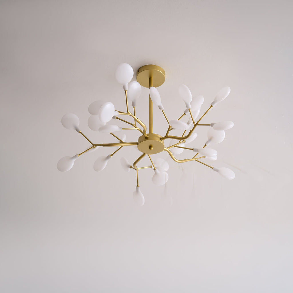 Chandelier Light |  30 to 63 Heads | Ridorn