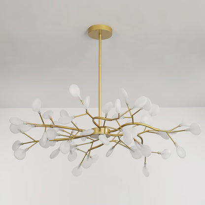 Chandelier Light |  30 to 63 Heads | Ridorn