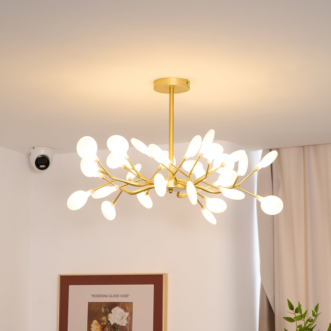 Chandelier Light |  30 to 63 Heads | Ridorn