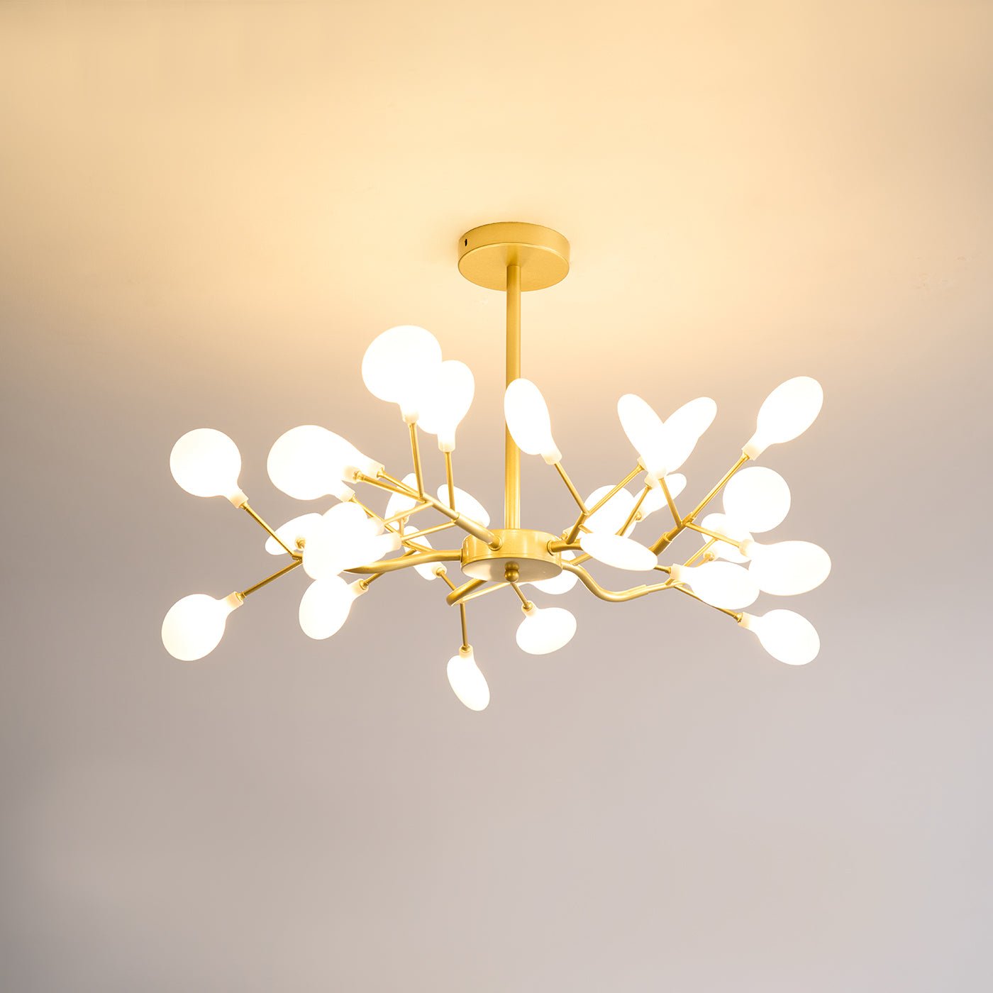 Chandelier Light |  30 to 63 Heads | Ridorn