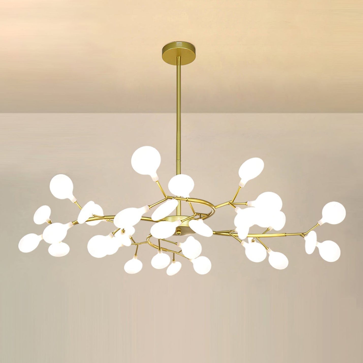 Chandelier Light |  30 to 63 Heads | Ridorn