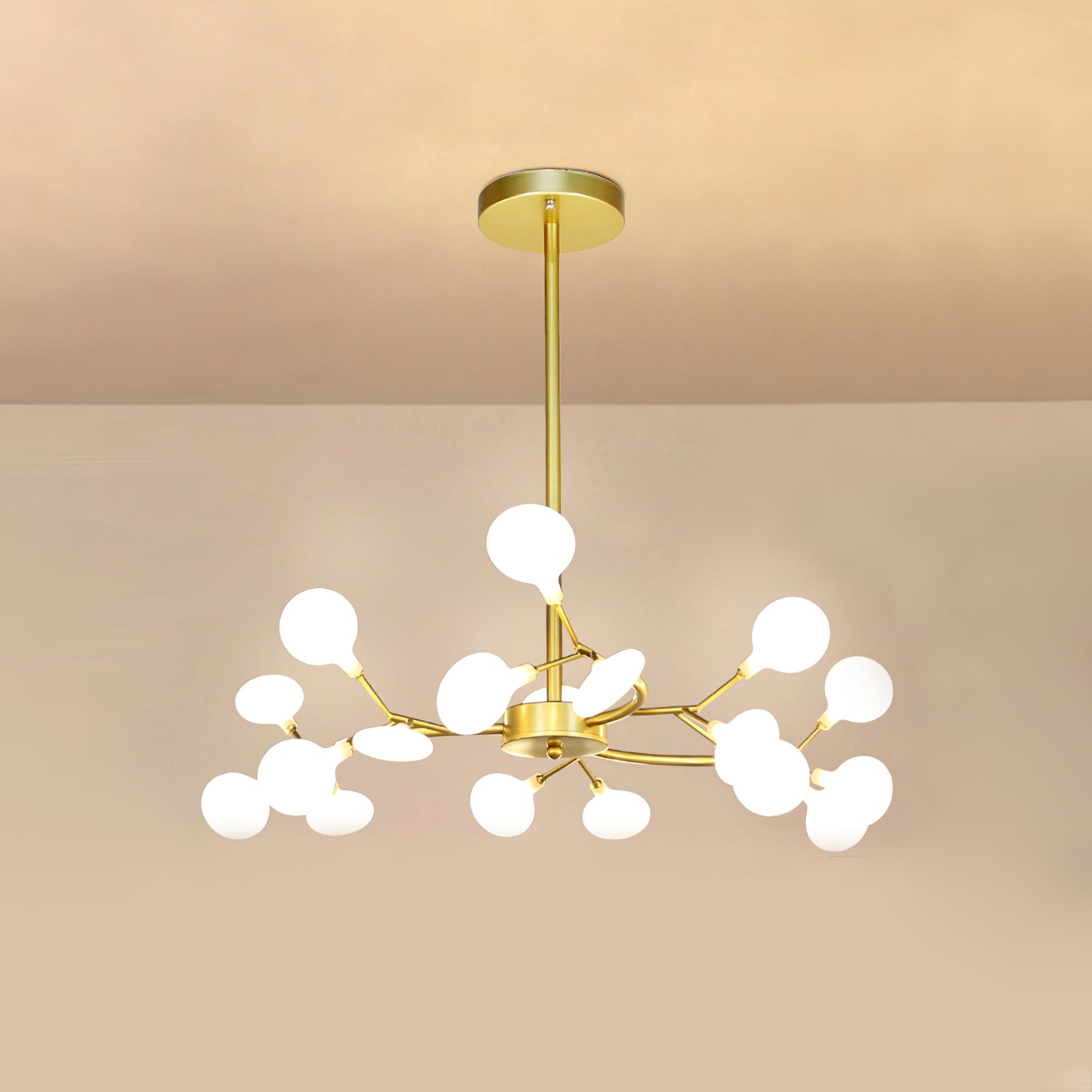 Chandelier Light |  30 to 63 Heads | Ridorn