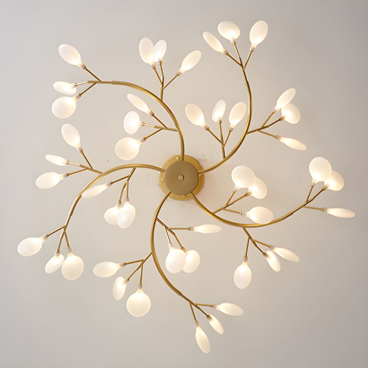 Chandelier Light |  30 to 63 Heads | Ridorn