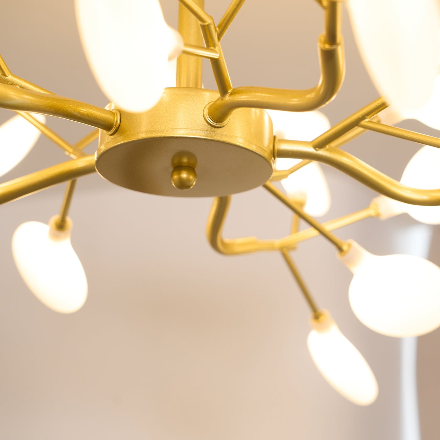 Chandelier Light |  30 to 63 Heads | Ridorn