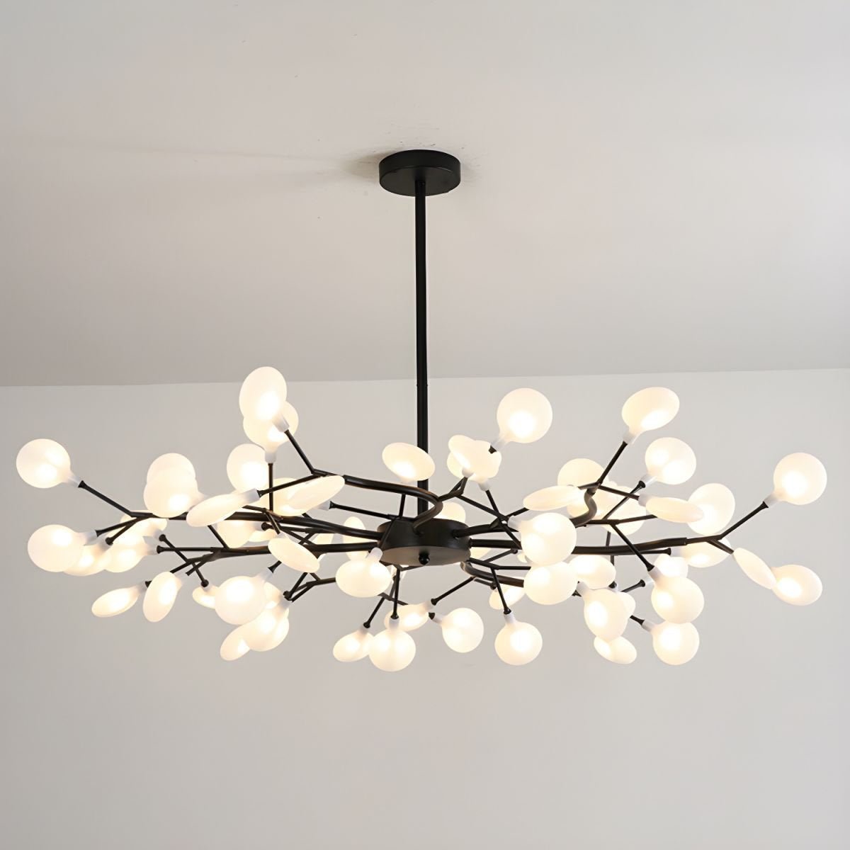 Chandelier Light |  30 to 63 Heads | Ridorn