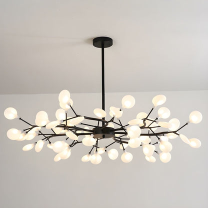 Chandelier Light |  30 to 63 Heads | Ridorn