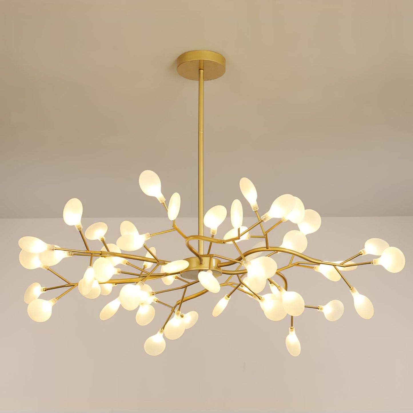 Chandelier Light |  30 to 63 Heads | Ridorn