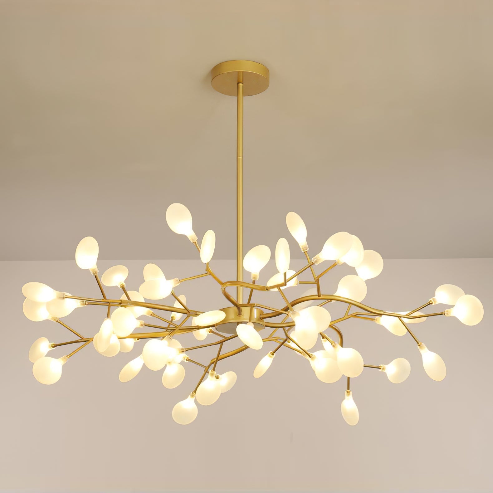 Chandelier Light |  30 to 63 Heads | Ridorn