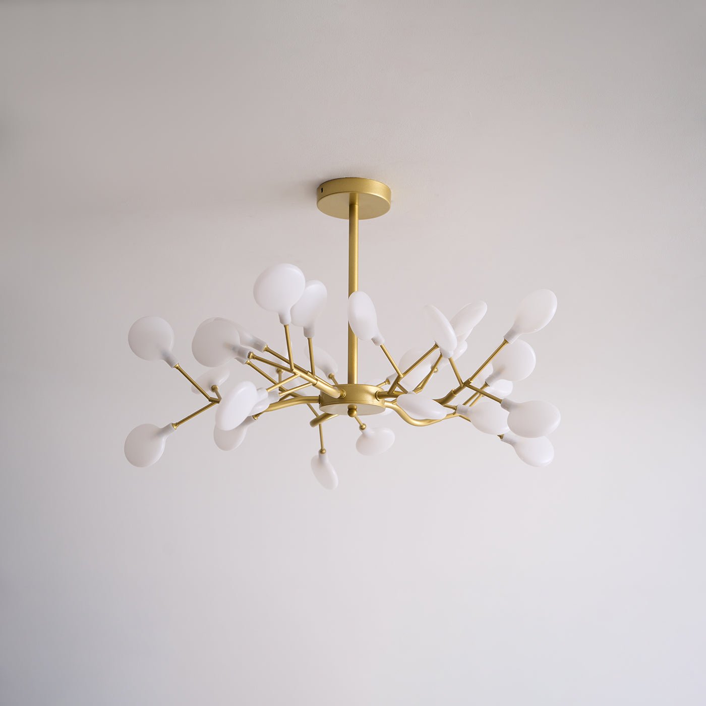 Chandelier Light |  30 to 63 Heads | Ridorn