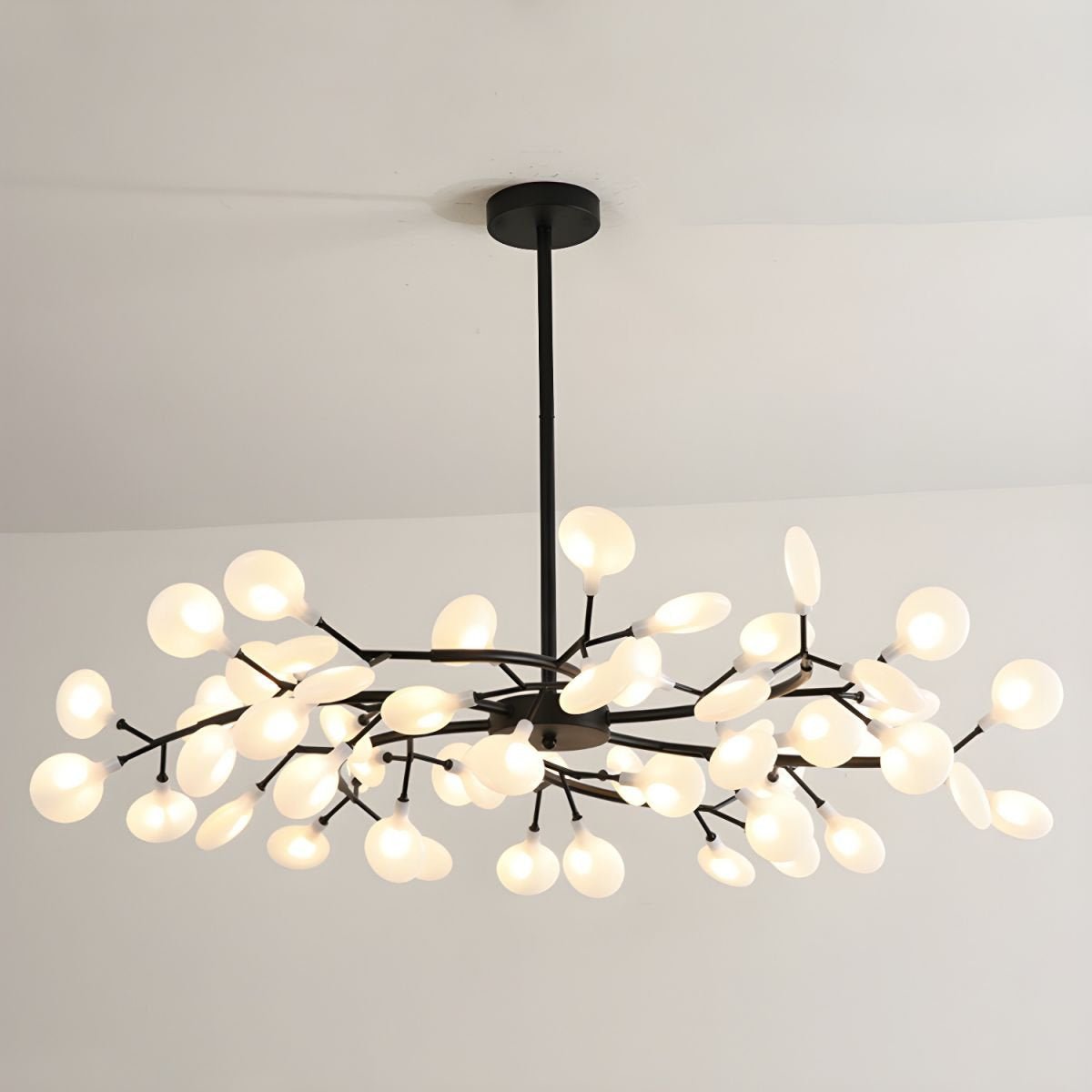 Chandelier Light |  30 to 63 Heads | Ridorn