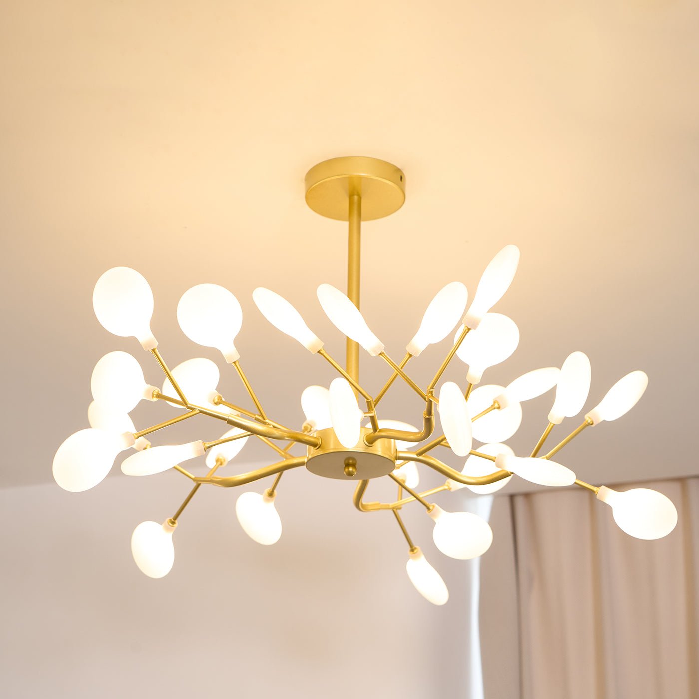 Chandelier Light |  30 to 63 Heads | Ridorn