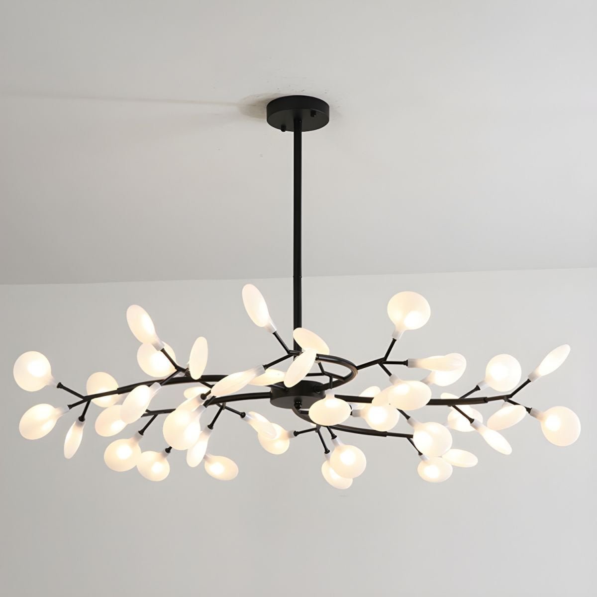 Chandelier Light |  30 to 63 Heads | Ridorn